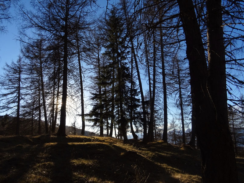 Corno di Tres - Corno del Cervo